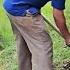 The Girl S Father Began To Get Used To The Work Of A Farmer