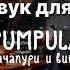 Фоновый звук для ресторана Pumpula