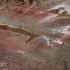 Sewer Overflow Lncredible Dirty Carpet Cleaning Satisfying ASMR