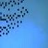 Nokia December 2000 January 2011 Startup Logo History