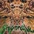 Shpongle Remember The Future