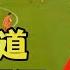 假球疑云 金敬道场上干了什么 分析后我们才恍然大悟