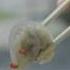 The Dumpling That Whispers A Soup Story Whispers Beyond Maps