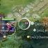 HOW USE HERO CHAT WHEEL In Dota 2 Plus