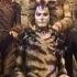 Jellicle Songs For Jellicle Cats CATS The Shows Must Go On