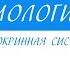 8 класс Биология Эндокринная система