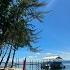Contiki S Borneo Adventure Sneak Peek