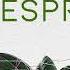 Saint Evo Lespri CDR078