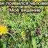 Как появился человек Моё видение