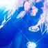 Cher DJ Play A Christmas Song Live From IHeart Radio S Jingle Ball 2023
