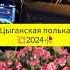 супер полька цыганска полька 2024 ваня дэхэнко