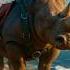 The Dream That Started It All Friendly Rhino S Trip To The Beach
