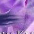 Hollow Knight Crystal Peak Soundtrack