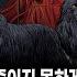 무서운이야기 실화 저승사자도 나를 죽이지 못한 기묘하면서 소름끼쳤던 이야기 사자 탈 의식ㅣ조커님 사연ㅣ돌비공포라디오ㅣ괴담ㅣ미스테리 인터뷰ㅣ시청자 사연ㅣ공포툰ㅣ오싹툰ㅣ공포썰