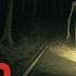 True Forest Drive Horror Stories Appalachian Mountain Deep Woods