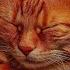 Cat Purring For Sleep ASMR Meditation Relax мурчание кошки для сна медитация релакс