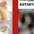 Ты будешь смеяться до слёз Лучшие добрые мемы для отличного дня смешные картинки приколы котики