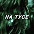 На тусе