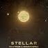 MAXTAGE Rousyverse Stellar Extended Mix Umpire Records