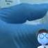 DNA Extraction From Blood