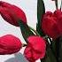 How To Make A Tulip DIY Crepe Paper Tulips