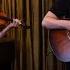 Star Sessions With Of Tree Donner