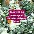 Tinipgang Na Lupo Gulay Na Masustansiya Lupo Gulay Gulayislife Lutongbahay Food