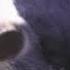 Звуки коровы Корова мычит Cow Mooing Cow Sounds
