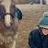 Run Fast For Your Mother And Fast For Your Father Equestrian Runfast Ponyfun Horseriding Trend