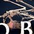 Dino Birds Full Documentary NOVA PBS