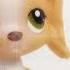 LPS MEP Je Ne Sais Pas CLOSED
