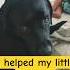 I Took On The Role Of Big Brother Very Seriously And I Still Do Dogs Labrador Dogfamily Pets