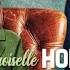 Bande Annonce Mademoiselle Homes