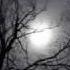 Delius La Lune Blanche