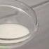 Remove Mold From Silicone Quick Easy