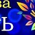 Мощная Матрица Гаряева Жить долго до 1000 лет