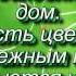 Поздравления любимой маме и бабушке с 8 марта ВИДЕО НА ЗАКАЗ из ваших фотографий