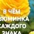 В чём изюминка каждого знака Зодиака Эзотерика Гороскоп Астрология Знаки