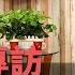 余茂春專訪 川普的戰略思維與對中政策 上