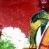 Lakshmi Narasimha Karavalamba Stotram With Lyrics