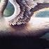 Swan Lake Op 20 No 5 Pas De Deux II Andante Allegro