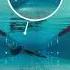 Верно НЕ верно Swimming бассейн юмор плавание
