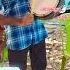 Thara Drum Set Thappattam Newpost Trending Drumset Videos Shorts Videos Call 6382868728
