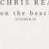 Chris Rea On The Beach Summer 88 WEA 1988