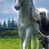 Naqadar Guzal Jonzot You Find It In Uzbekistan Horses Otlarlife Kupkari