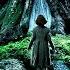 PAN S LABYRINTH Official Trailer Directed By Guillermo Del Toro