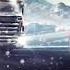 CameliaGrozav Sunt Sofer De Camion
