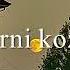 Feruzam Komil Shodiyev