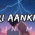 Riya Teri Aankhon Mein Hai Jaadu HindiSadLoFi BrokenVibes AloneFeels Lofi Song Lofisong