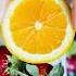 CITRUS Fruits Shorts Trending